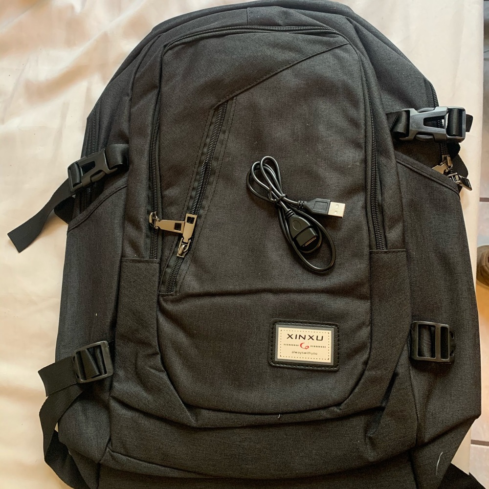 Backpack/laptop Carrier